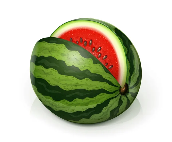 スイカ 緑のジュースフルーツ 白の背景に隔離された スイカの現実的な果物 ベクトル Eps10ベクトル図 — ストックベクタ