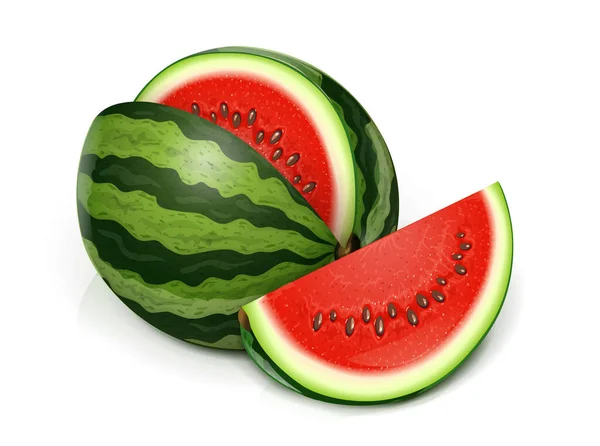 Watermelon Green Juicy Fruit Isolated White Background Watermelons Realistic Fruits — Stock Vector