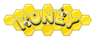 Bal, bal peteği ve arı, beyaz arka planda izole edilmiş. Eps10 vektör illüstrasyonu.