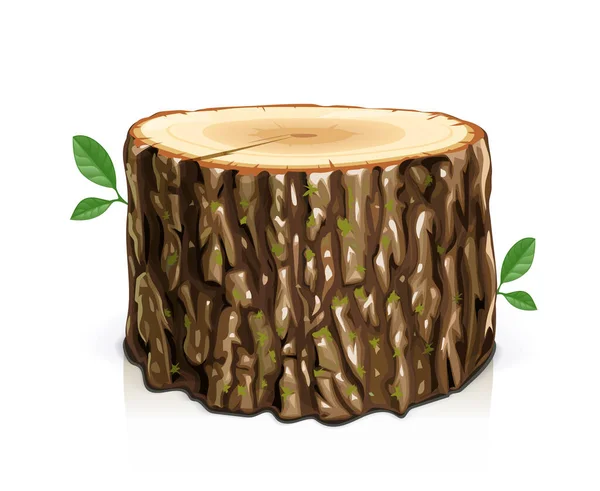Souche en bois. Couper un arbre en tranches. Vecteur. Illustration Eps10. — Image vectorielle