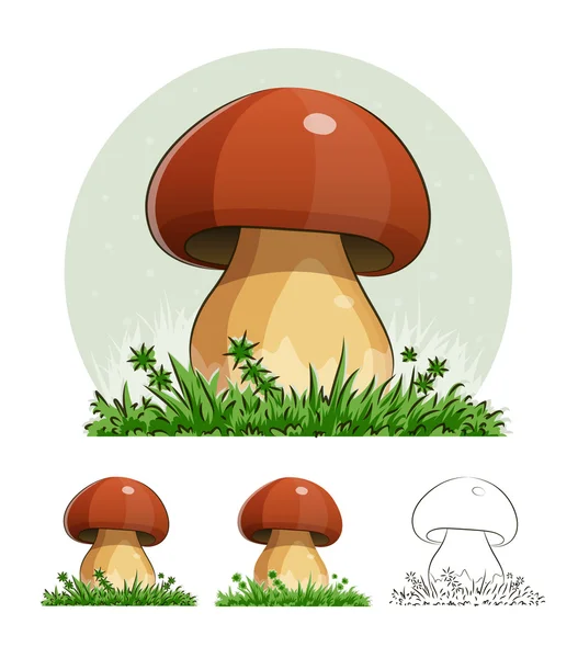 Cep. gomba. — Stock Vector