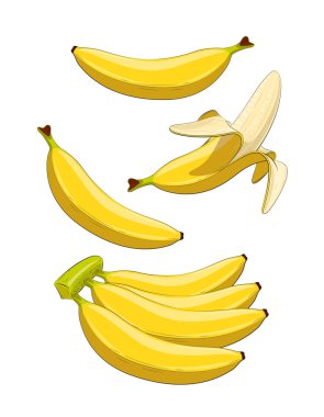 Banana. Tropical fruit. clipart
