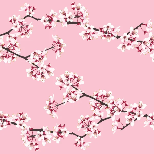 Kiraz çiçeğinin dalları, pembe arka planda dikişsiz tatlı pembe sakura çiçeği deseni. Vektör illüstrasyonu.