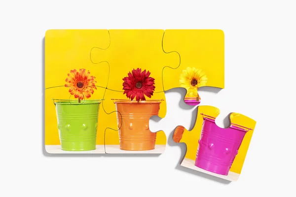 Sei pezzi di puzzle con fiori in vaso — Foto Stock