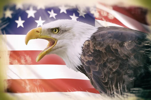 Un hermoso águila calva con un fondo de una bandera de EE.UU. — Foto de Stock