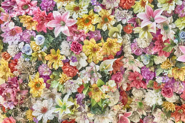 Beautiful flowered background — Stock Photo, Image