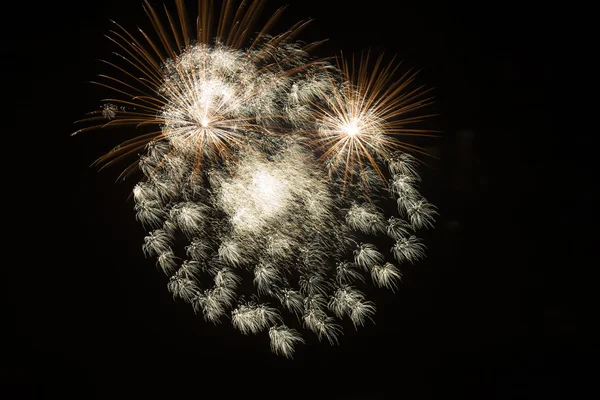 Bright fireworks in night sky — Stock Photo, Image