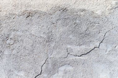 Gri beton duvar ile yakın çekim izlemeler.