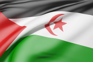 Sahra Arap Demokratik Cumhuriyeti bayrak sallayarak