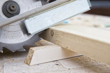 Daire testere kesim ahşap Close-Up