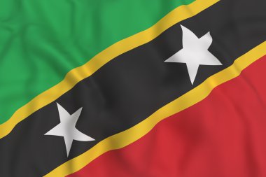 Aziz Christopher ve Nevis bayrak sallayarak Federasyonu