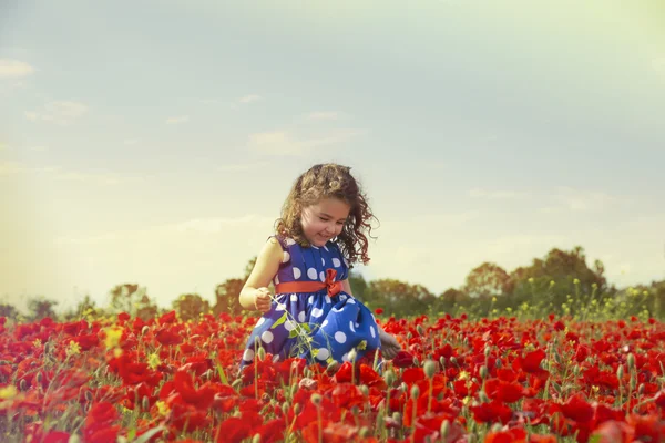 Menina bonito correndo no campo de papoula — Fotografia de Stock