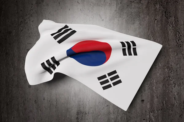 Korejská republika vlajka mávání — Stock fotografie