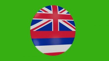 Hawaii eyaleti bayrak simgesinin krom zemin üzerinde dönen 3D görüntüsü