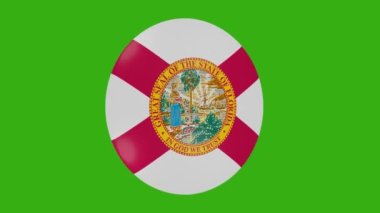 Florida eyaleti bayrak simgesinin krom zemin üzerinde dönen 3D görüntüsü