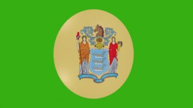 New Jersey eyaleti bayrak simgesinin krom arka planda kendi üzerinde dönen 3D görüntüsü