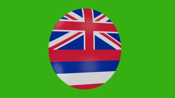 Rendering Hawaii Usa State Flag Icon Rotating Itself Chroma Background — Stock Video