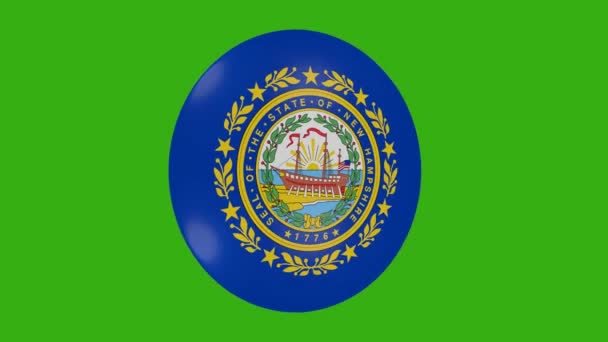 Renderização Ícone Bandeira Estado New Hampshire Eua Girando Sobre Mesmo — Vídeo de Stock