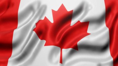 3d rendering of a National Canada flag waving in a looping motion