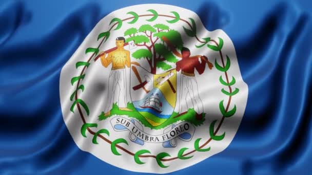 Representación Una Bandera Nacional Belice Ondeando Movimiento Bucle — Vídeos de Stock