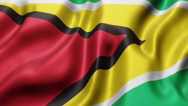 Rendering Una Bandiera Nazionale Della Guyana Che Sventola Movimento Loop — Video Stock