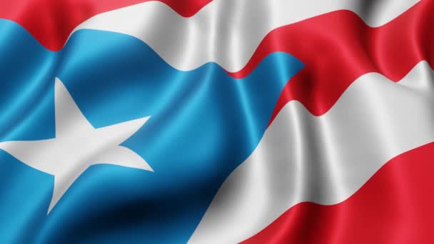 三维展示一面波多黎各国旗 在一个环形运动中挥动 — 图库视频影像
