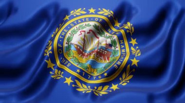 New Hampshire eyaleti bayrağının 3D görüntüsü
