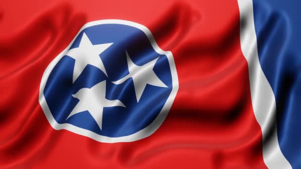 Rendering Tennessee State Flag Waving Looping Motion — Stock videók