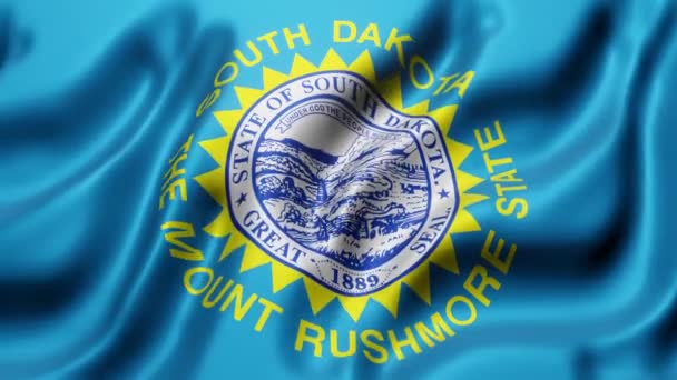 Rendering South Dakota State Flag Waving Looping Motion — Stockvideo