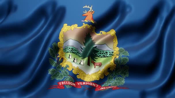 Rendering Vermont State Flag Waving Looping Motion — Stok video