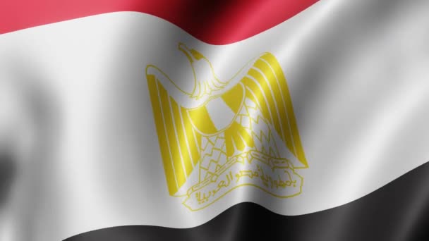Rendering Una Bandiera Nazionale Egiziana Sventola Movimento Loop — Video Stock