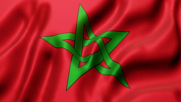 ループ状の動きに手を振っているモロッコ国旗の3Dレンダリング — ストック動画