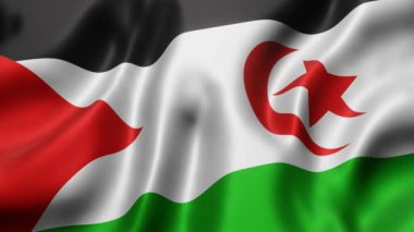 Ulusal Sahrawi Arap Demokratik Cumhuriyeti bayrağının 3D yansıması bir döngü hareketinde sallanıyor