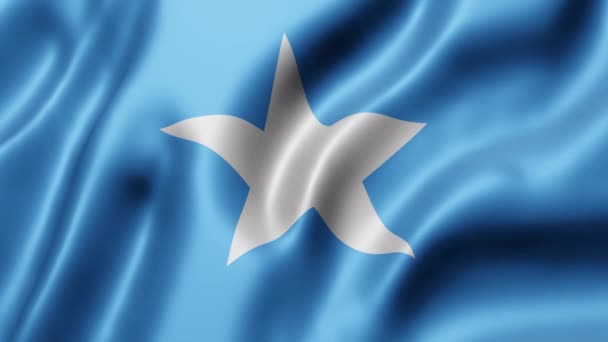 Rendering National Somalia Flag Waving Looping Motion — Stock Video