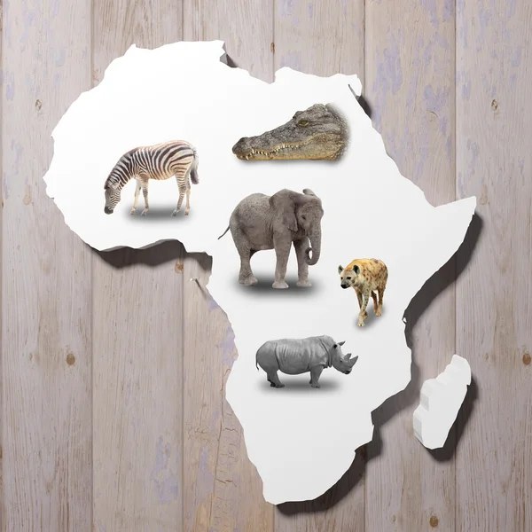 Africa map — Stock Photo, Image