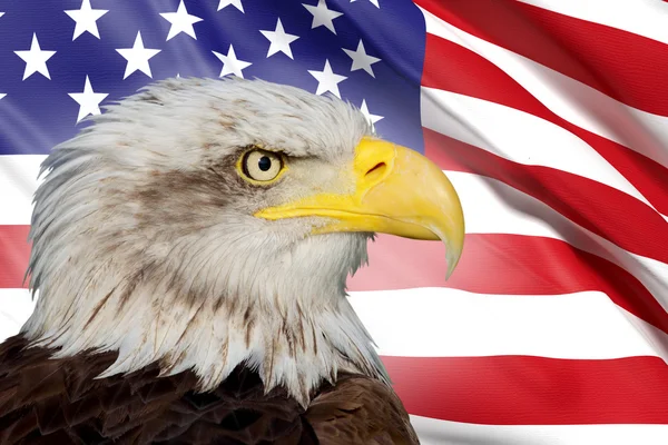 A beautiful bald eagle with a background of a usa flag — Stock Photo, Image