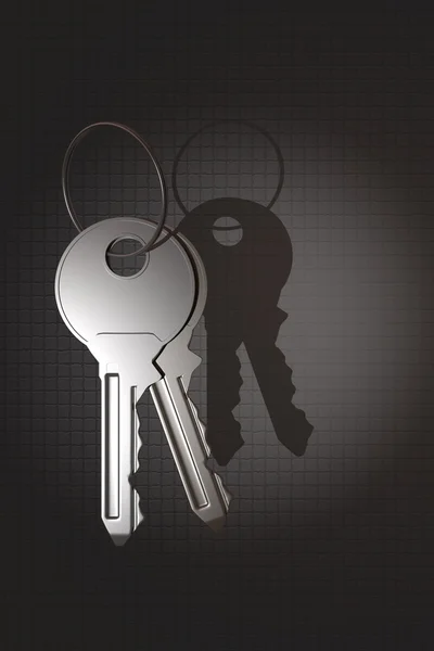 Home keys — Stock Photo, Image