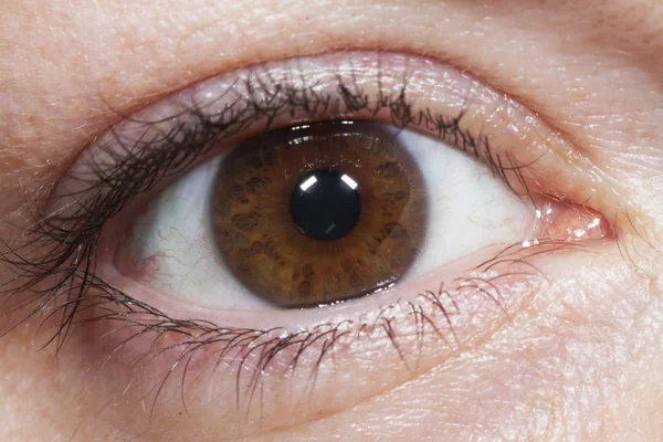 Human eye — Stock Photo, Image