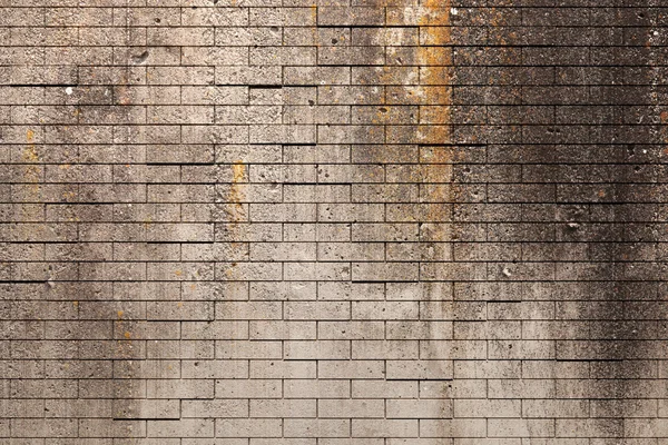 Brick wall — Stock Photo, Image