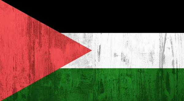 Palestinische Flagge — Stockfoto