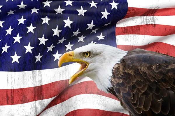 Bald eagle and USA flag — Stock Photo, Image