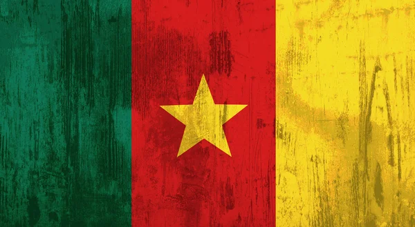 Kamerun bayrağı — Stok fotoğraf