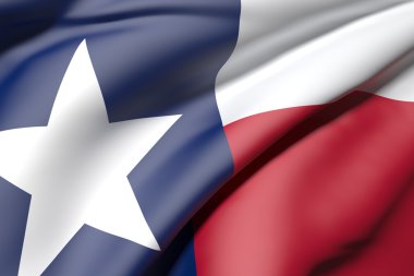 Teksas Bayrağı
