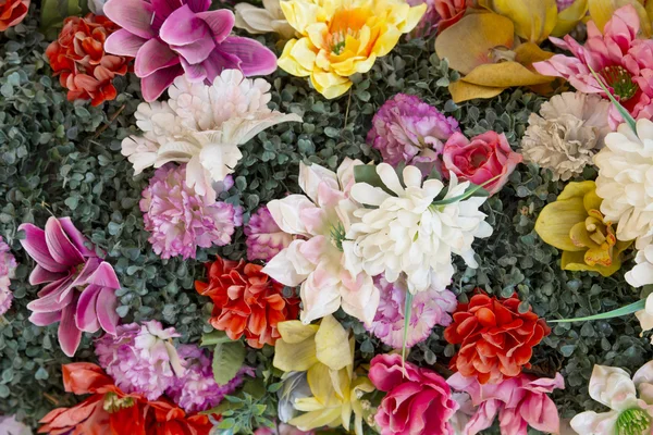 Bakgrund med massor av färgglada blommor — Stockfoto