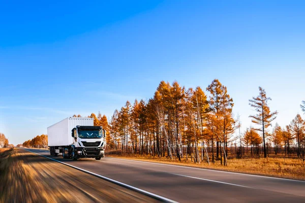 Semi Caminhão Branco Com Recipiente Estrada Outono Imagem De Stock