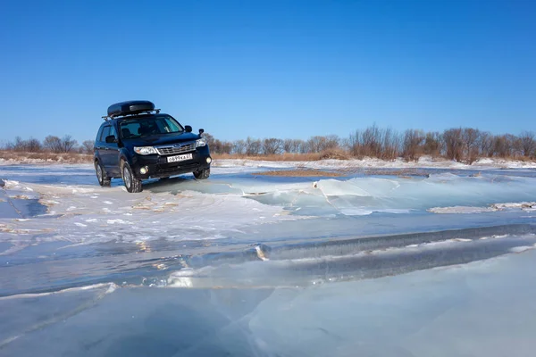 Khabarovsk Rússia Janeiro 2020 Black Subaru Forester Gelo Congelado Lago — Fotografia de Stock