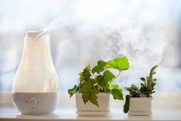 Humidifier Spreading Steam Living Room — Stock Photo, Image