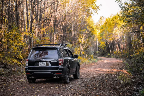 Chabarowsk Rosja Września 2020 Subaru Forester Porusza Się Drodze Jesiennym — Zdjęcie stockowe