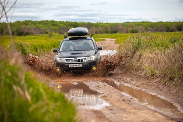 Nikolaevka, Rusya - 23 Haziran 2020: Kara Subaru Forester kirli orman yolunda ilerliyor ve çok fazla su sıçrıyor