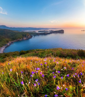 Uzak Doğu Deniz Koruma Alanı. Primorsky bölgesi, Rusya